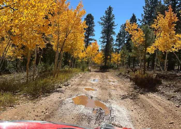 The Duck Creek Village Getaway